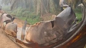 Peneliti Astrofisika Badan Riset dan Inovasi Nasional (BRIN), Thomas Djamaluddin, mengonfirmasi bahwa serpihan benda langit misterius yang ditemukan di kawasan perkebunan kelapa sawit di wilayah Sampit, Kalimantan Tengah (Kalteng), adalah bagian dari