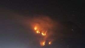 Badan Nasional Penanggulangan Bencana (BNPB) menargetkan dua titik api yang tersisa pada kebakaran hutan dan lahan (karhutla) di kawasan Taman Nasional Bromo Tengger Semeru (TNBTS) dapat dipadamkan sepenuhnya pada pekan ini.