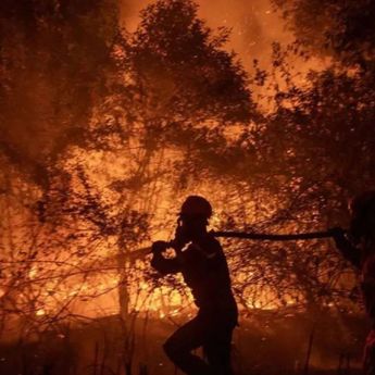 Cek Fakta: Benarkah Jokowi Kembali Tinjau Kebakaran Hutan pada September 2026?