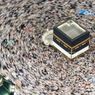 Kemlu: 49.000 Jemaah Umrah Indonesia di Arab Saudi Aman