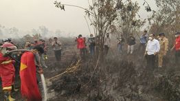 Apresiasi Aksi Heroik 'Superman' Pemadam Karhutla di Kalteng, Menhut Siapkan Beasiswa
