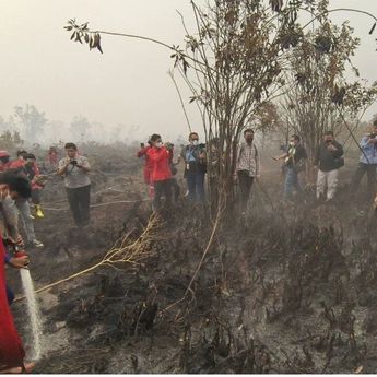 Daftar Titik Karhutla di Kalimantan, Asap Tebal Ganggu Sekolah hingga Penerbangan