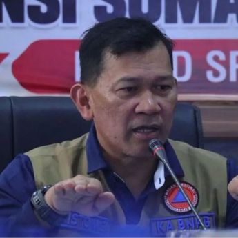 44 Area Konversi Hutan Sumsel Terbakar, BNPB Minta Penegak Hukum Bertindak Tegas