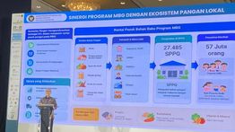 Wajibkan UMKM Lokal, Menko Zulhas Soroti Pasokan Bahan Baku MBG