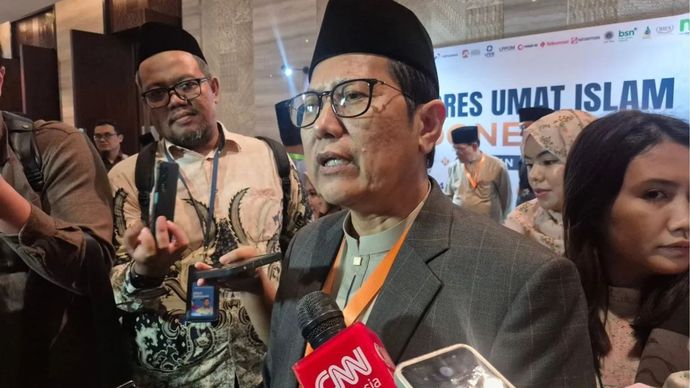 Wakil Ketua Umum MUI Muhammad Cholil Nafis. 