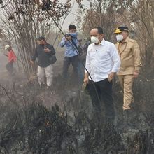 Karhutla Kalbar Didominasi Pembakaran untuk Buka Lahan oleh Perorangan