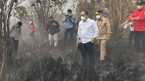 Karhutla Kalbar Didominasi Pembakaran untuk Buka Lahan oleh Perorangan