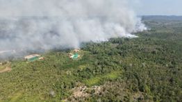 Atasi Karhutla 44 Km dari IKN, TNI AU Terjunkan Helikopter Water Bombing