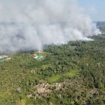 Atasi Karhutla 44 Km dari IKN, TNI AU Terjunkan Helikopter Water Bombing