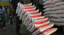 Era Prabowo: Petani Makin Sejahtera, Stok Beras Kian Melimpah