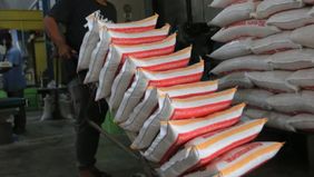 Kesejahteraan petani di era pemerintahan Prabowo Subianto menunjukkan tren peningkatan, seiring dengan kebijakan harga gabah yang terjaga dan peningkatan daya beli petani.