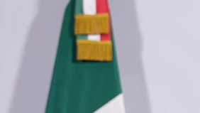 Anggota parlemen perempuan di Kongres Mexico City, ibu kota Meksiko, terlibat bentrokan fisik saat berlangsungnya perdebatan di ruang sidang