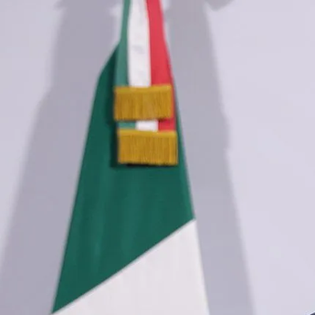 Anggota DPR Meksiko Saling Jambak di Ruang Sidang