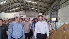 Menteri Pertanian, Andi Amran Sulaiman, luncurkan program penghasilan Rp 10 juta per bulan untuk petani milenial dan Gen Z.