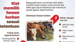Infografik: Kiat Memilih Hewan Kurban yang Sehat dan Sesuai Syariat