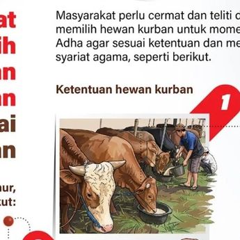 Infografik: Kiat Memilih Hewan Kurban yang Sehat dan Sesuai Syariat