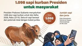 Presiden Prabowo Subianto menyalurkan sebanyak 1.098 ekor sapi kurban untuk masyarakat pada perayaan Idul Adha 2026. Berdasarkan data Kementerian Sekretariat Negara per 26 Mei 2026, seluruh hewan kurban tersebut berasal dari peternak lokal dengan bob