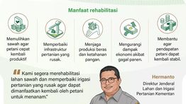 Infografik: Rehabilitasi Sawah untuk Daerah Terdampak Banjir Sumatera