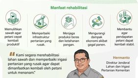 Pemerintah mempercepat rehabilitasi sawah yang terdampak banjir di sejumlah wilayah Sumatera guna memulihkan lahan pertanian agar petani dapat segera kembali menanam. Langkah ini diambil untuk memastikan produksi padi tetap terjaga serta meminimalkan