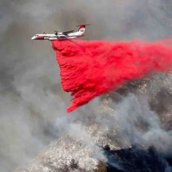 Korban Tewas Kebakaran Hutan di Los Angeles Bertambah Menjadi 13 Orang