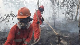 Pemerintah terus mengoptimalkan penanganan kebakaran hutan dan lahan (karhutla) di wilayah Kalimantan.