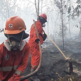 Pemerintah Perkuat Penanganan Karhutla di Kalimantan: Kerahkan 12.880 personel hingga Buat Sumur Bor