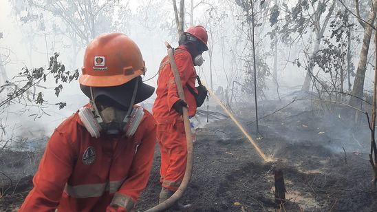 Pemerintah Perkuat Penanganan Karhutla di Kalimantan: Kerahkan 12.880 personel hingga Buat Sumur Bor
