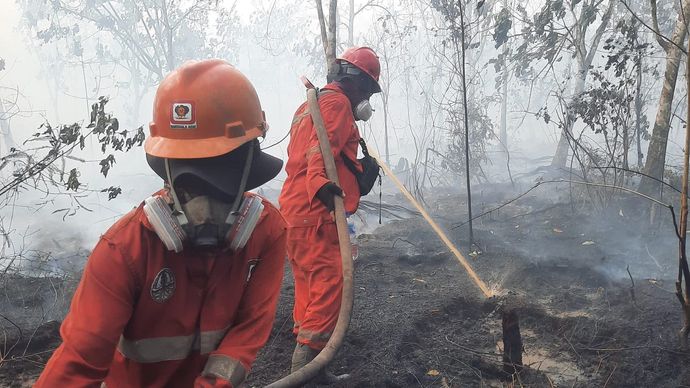 Pemerintah Perkuat Penanganan Karhutla di Kalimantan: Kerahkan 12.880 personel hingga Buat Sumur Bor.