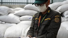 Badan Karantina Indonesia (Barantin) melalui Balai Karantina Hewan, Ikan, dan Tumbuhan Jambi menggagalkan pemasukan 40 ton kacang tanah impor yang dikirim dari Malaysia setelah hasil pengujian menunjukkan kandungan aflatoksin melampaui ambang batas. 