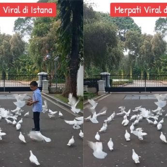 Ini Penampakan Burung Merpati yang Viral saat Paus Fransiskus Datang ke Istana Negara