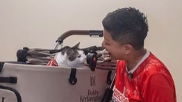 Anggota DPRD DKI Jakarta Menang Lelang Baju Kucing Bobby Kartanegara Milik Presiden