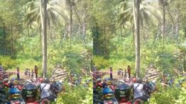 Tangis Petani di Trenggalek Pecah, Ladang Rusak Diterjang Motor Trail