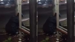 Misteri Keluar Asap dari Tanah dan Bau Belerang Gegerkan Warga Depok