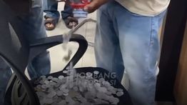 Pajak PBB di Jombang Naik 400 Persen, Warga Protes Bayar Pakai Koin