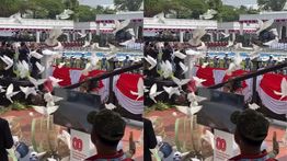 Begini Ternyata Proses Merpati Putih Terbang di Istana saat HUT ke-80 RI