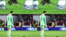 Ada Tikus di Lapangan saat Duel Wales vs Belgia di Kualifikasi Piala Dunia 2026