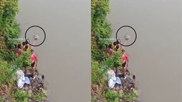 Remaja Tegal Tewas Usai Lompat dari Jembatan ke Sungai, 1 Orang Dalam Pencarian