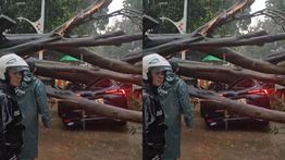 Masih Ada Orang dalam Mobil yang Tertimpa Pohon Tumbang di Dharmawangsa