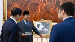 Prabowo Subianto Umumkan Nama Bayi Panda Pertama yang Lahir di Indonesia