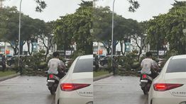 Pohon Tumbang di Alam Sutera, Kondisi Lalu Lintas Macet