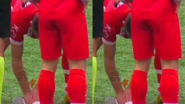 Aksi Heroik di Liga Amatir Turki, Pemain Ini Selamatkan Burung Camar dengan CPR