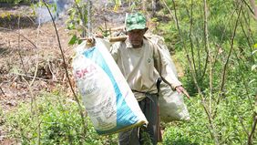 Setelah sukses mengembangkan ekosistem biomassa berbasis ekonomi kerakyatan di Gunung Kidul dan Cilacap, PT PLN (Persero) terus mengimplementasikan program tersebut di berbagai daerah.