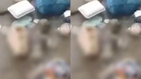 Beredar video memperlihatkan mayat bayi mengapung di Sungai Semoyo, Desa Sedayu, Kecamatan Gemuh, Kabupaten Kendal, Jawa Tengah. Hal tersebut menjadi viral di media sosial.