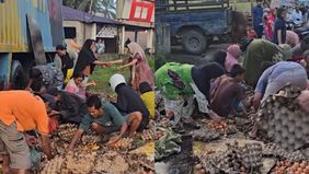 Beredar video memperlihatkan sejumlah warga sedang menjarah telor usai mobil pick up mengalami kecelakaan di Desa Aek Batu, Labusel, Sumatera Utara.