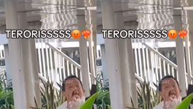Beredar video memperlihatkan seorang perempuan penumpang TransJakarta dianiaya dan teriyaki teroris oleh kakek-kakek di Halte Grogol Petamburan, Jakarta Barat. Hal tersebut menjadi viral di media sosial.
