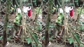 Beredar video memperlihatkan sejumlah orang berbondong-bondong serbu air ajaib yang keluar dari akar beringin. Hal tersebut menjadi viral di media sosial.