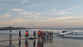 Basarnas berhasil mengevakuasi puluhan penumpang dan dua diantaranya merupakan Warga Negara Asing (WNA) asal China yang meninggal dunia akibat kecelakaan kapal cepat Dolphin II di Sanur, Bali.