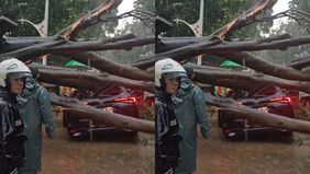 Sebuah pohon besar tumbang dan menimpa satu unit mobil di kawasan Dharmawangsa, Jakarta Selatan pada Kamis sore, 30 Oktober 2025. Insiden tersebut terjadi saat hujan deras disertai angin kencang melanda wilayah tersebut.