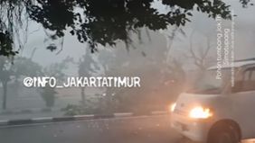 Beredar video memperlihatkan kondisi hujan angin serta sejumlah pohon tumbang di Jakarta Timur. Hal tersebut menjadi viral di media sosial.