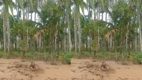 Seorang warga bernama Efriandi (49) dilaporkan terjebak di tengah derasnya arus Sungai Batang Bangko Gadang, Kamis 27 November 2025.